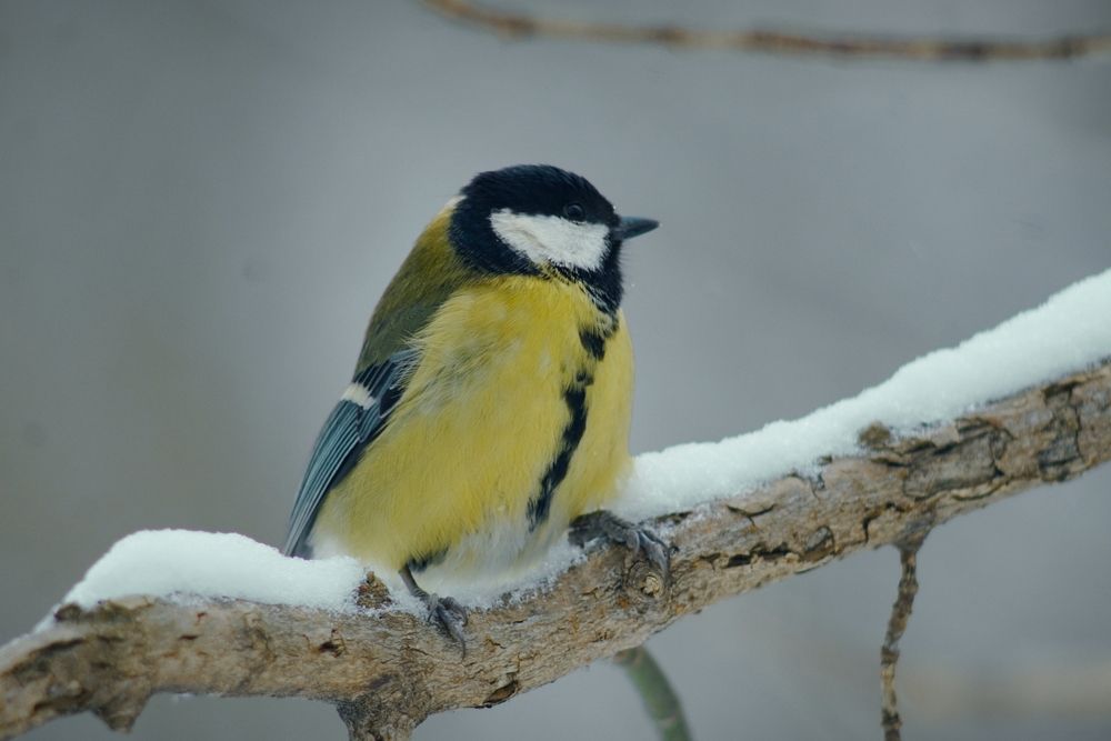 Photograph by Сергей