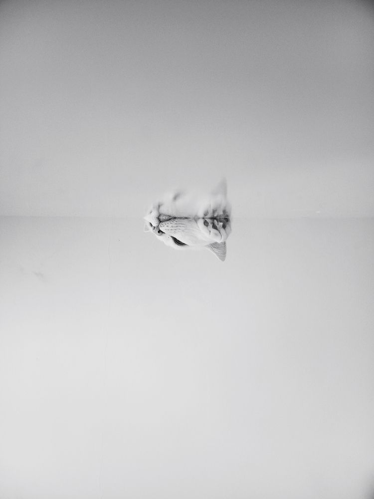 Фотография автора Лиана