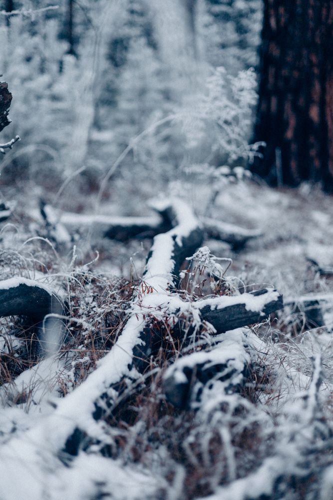 Photograph by Елена