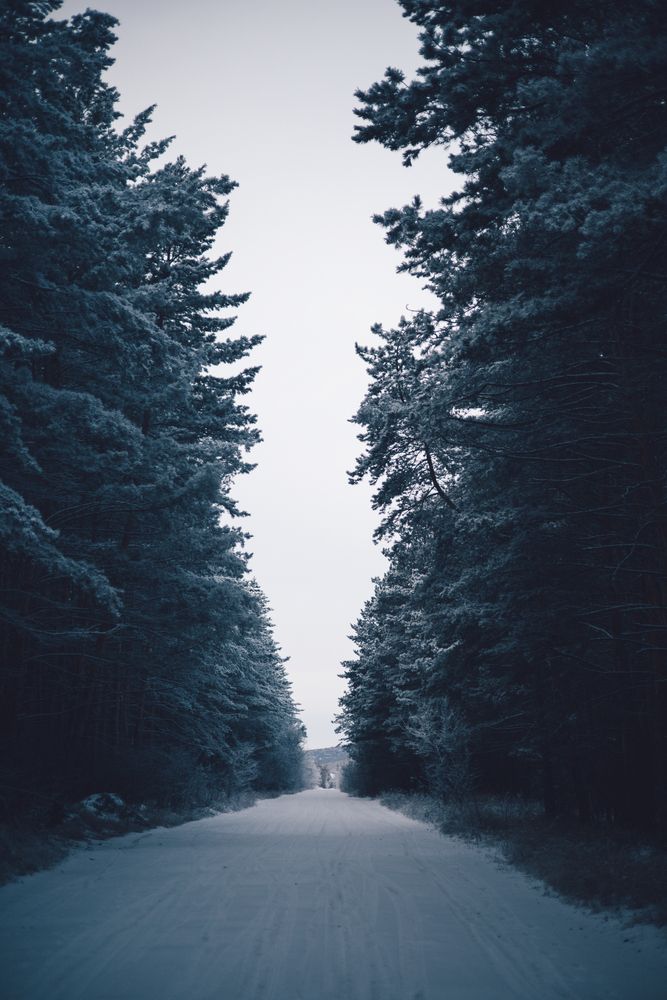 Photograph by Елена