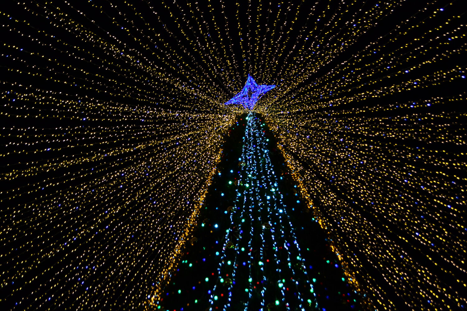 Photo #13084908