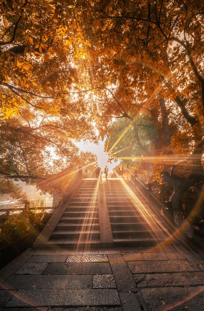 Photograph by Tran Phuong