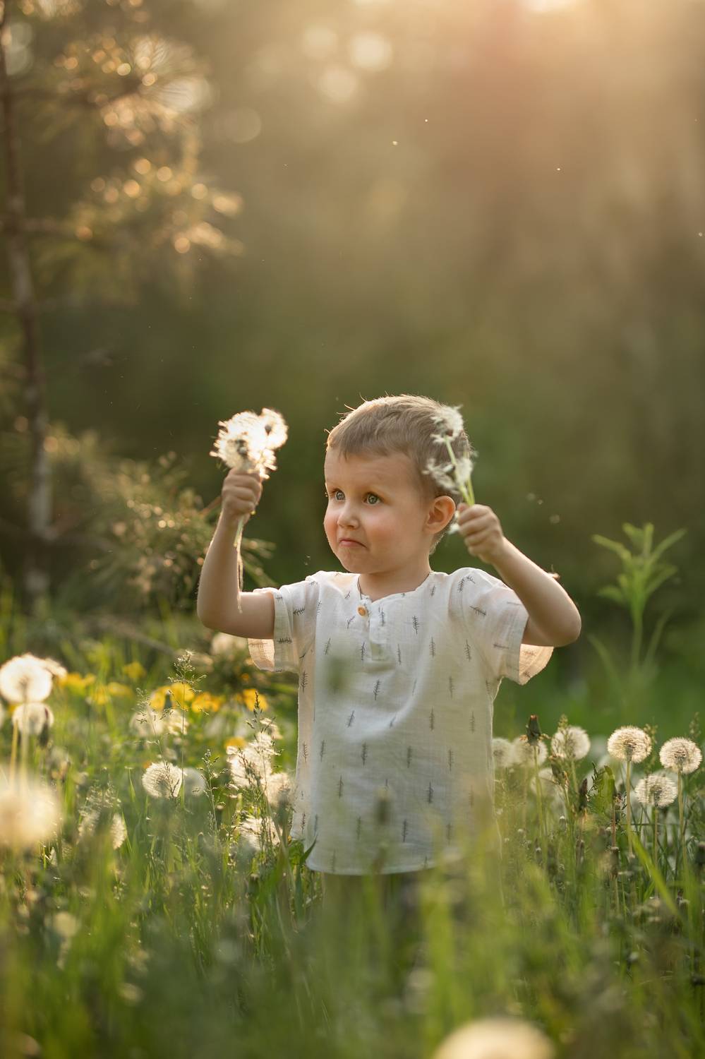 Фотография #13084955