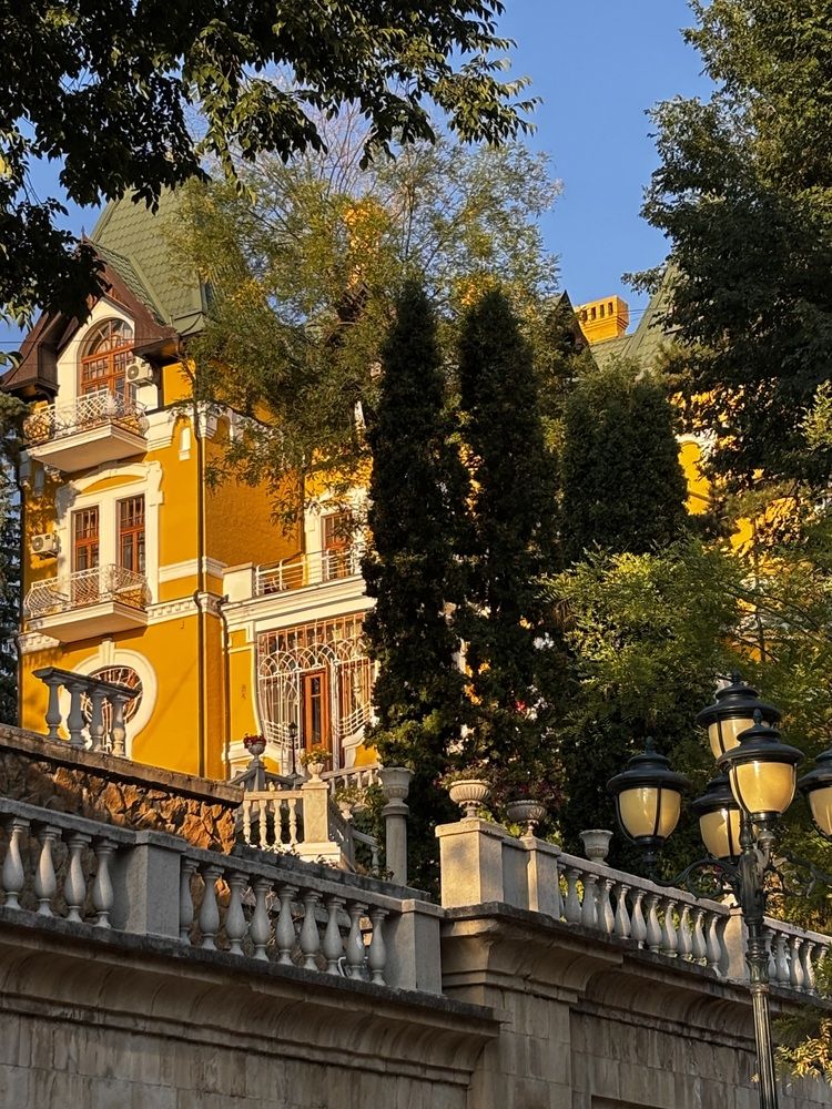 Фотография автора OLGA Dmitryachkova