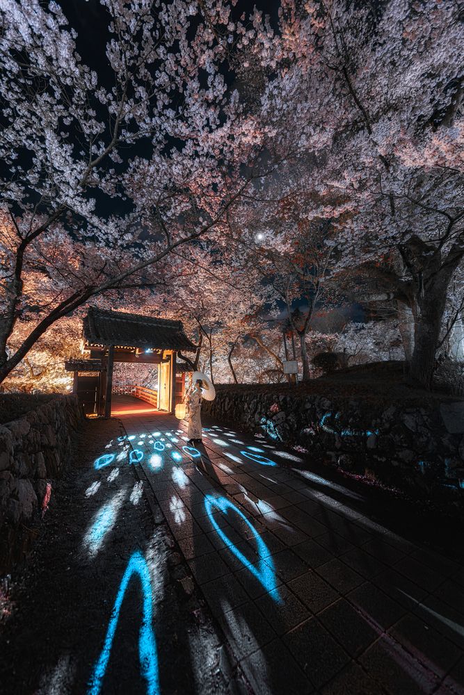 Photograph by i_ ha__to