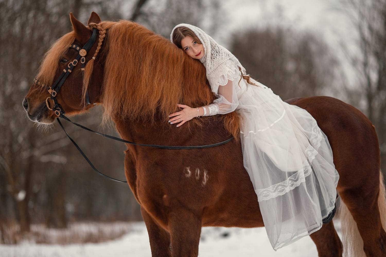 Фотография #13084968