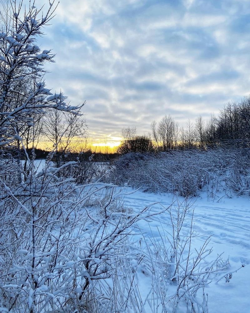 Photograph by Oksana Smorodina