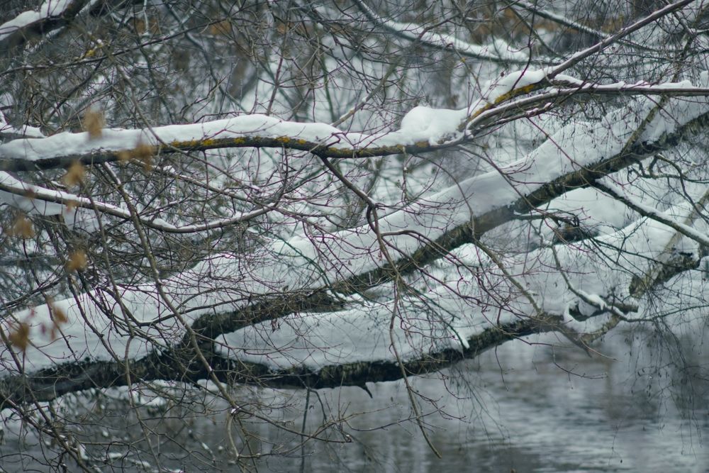 Фотография автора Сергей