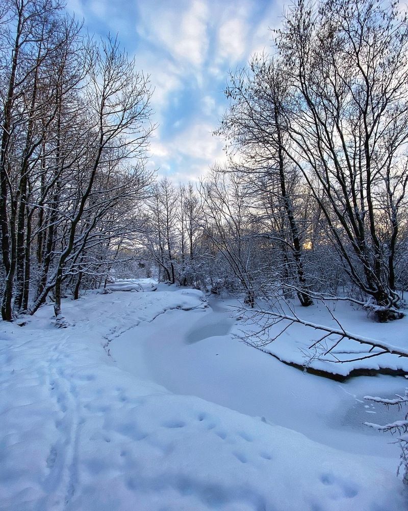 Photograph by Oksana Smorodina