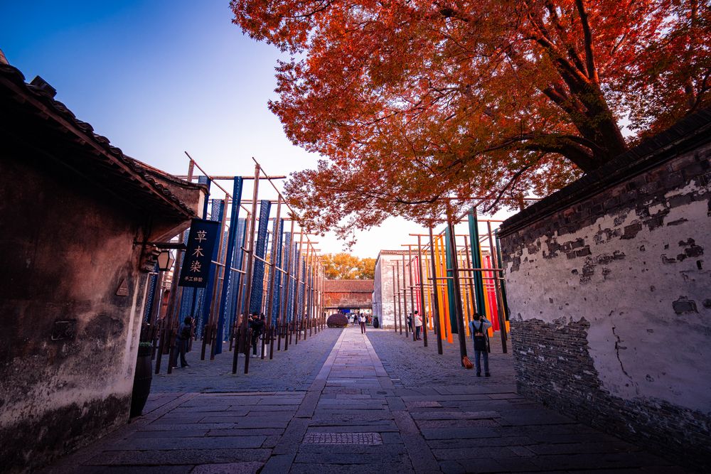 Photograph by Tran Phuong