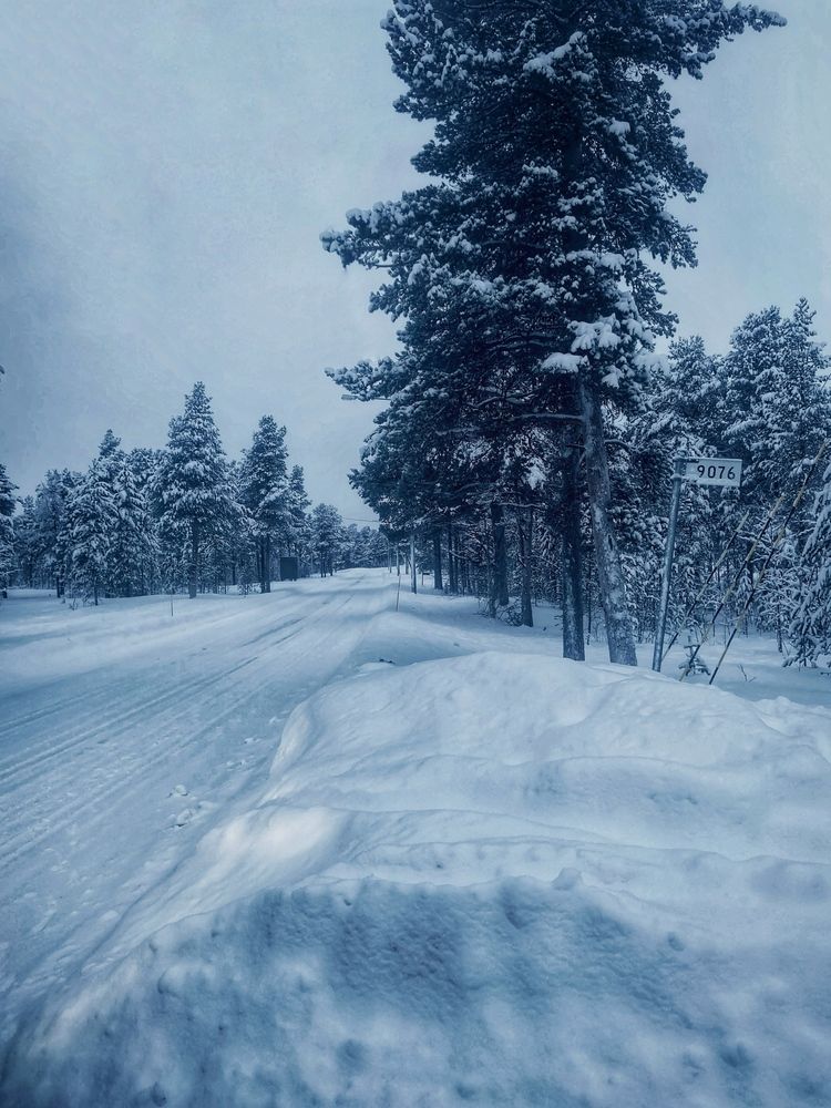 Photograph by Oksana Smorodina