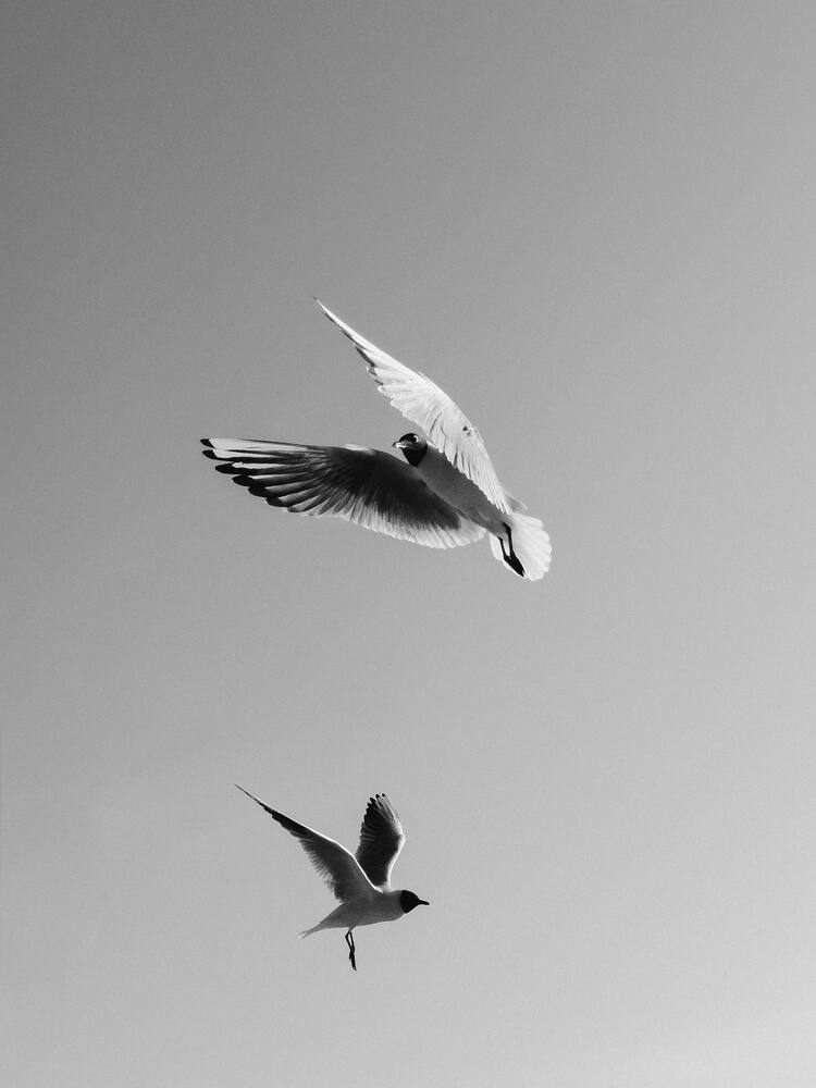 Photograph by ALISA NEZHINSKAYA