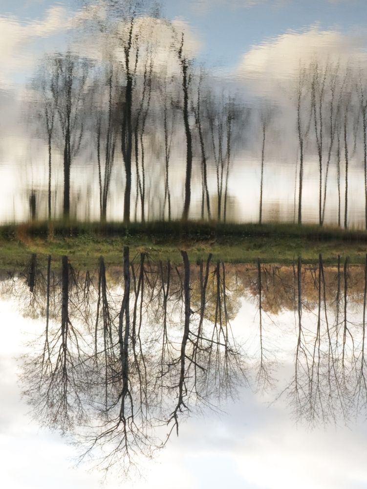 Photograph by Ольга Мольдон