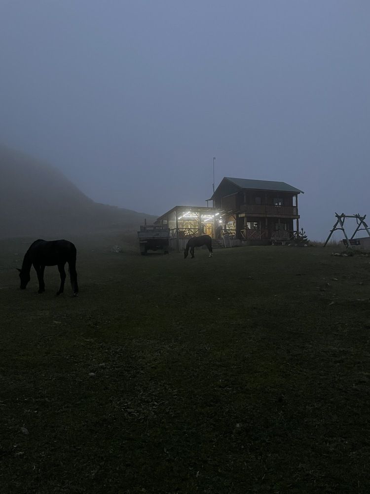 Photograph by Высоцкий Дмитрий