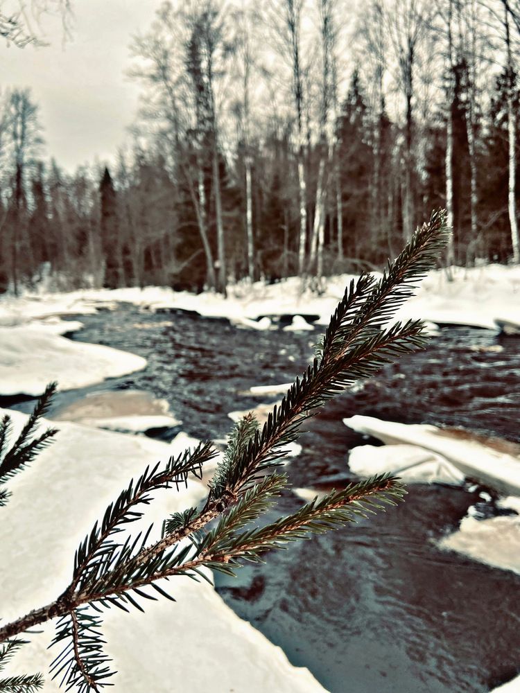 Photograph by Oksana Smorodina