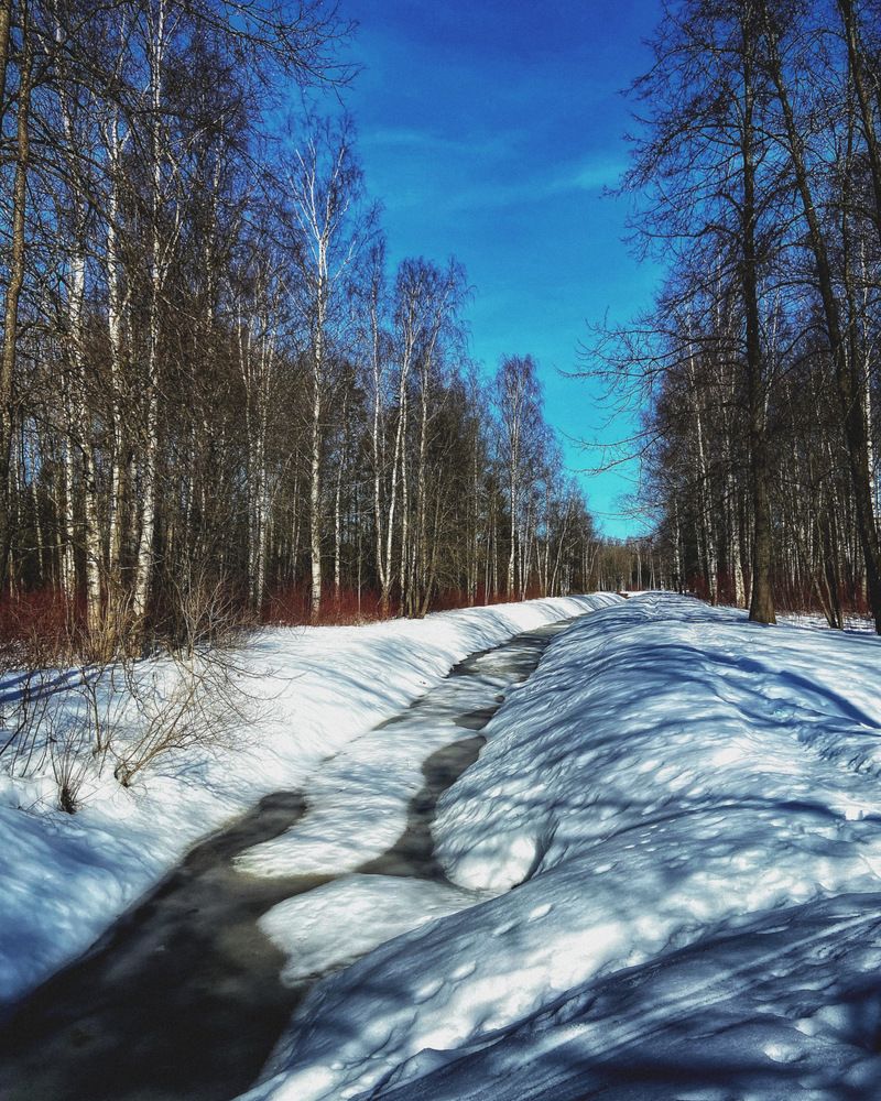 Photograph by Oksana Smorodina