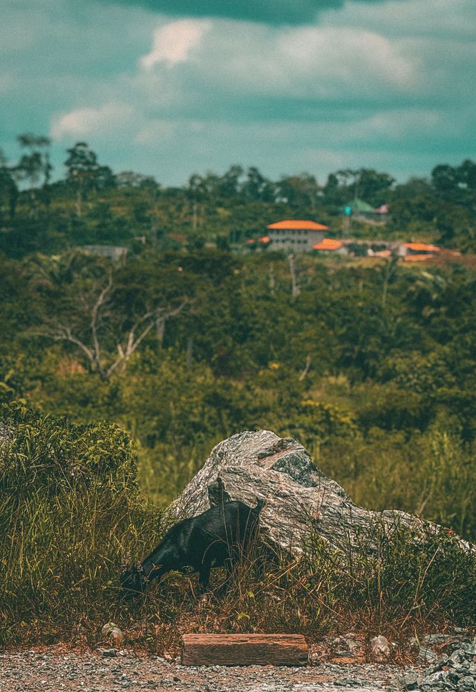 Photograph by Rody Ngah