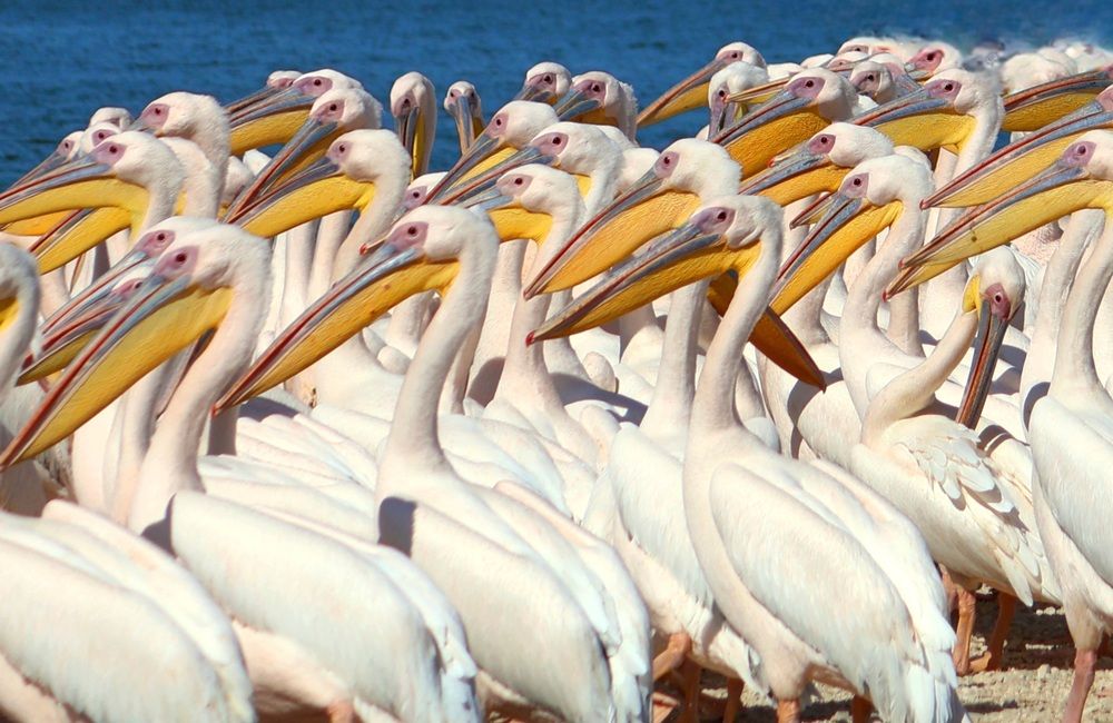 Photograph by Светлана Ханина