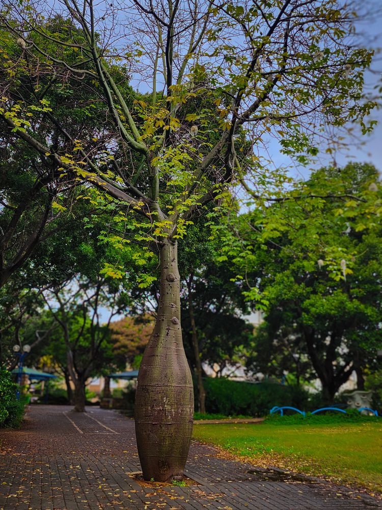 Photograph by Galina Israilov