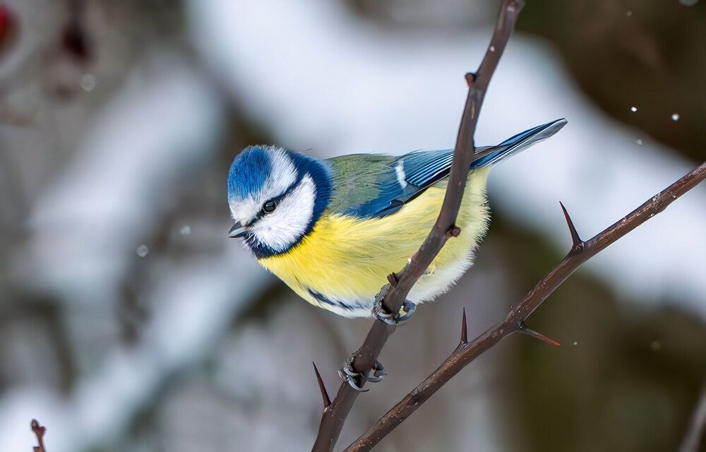 Photograph by Makarov Viktor