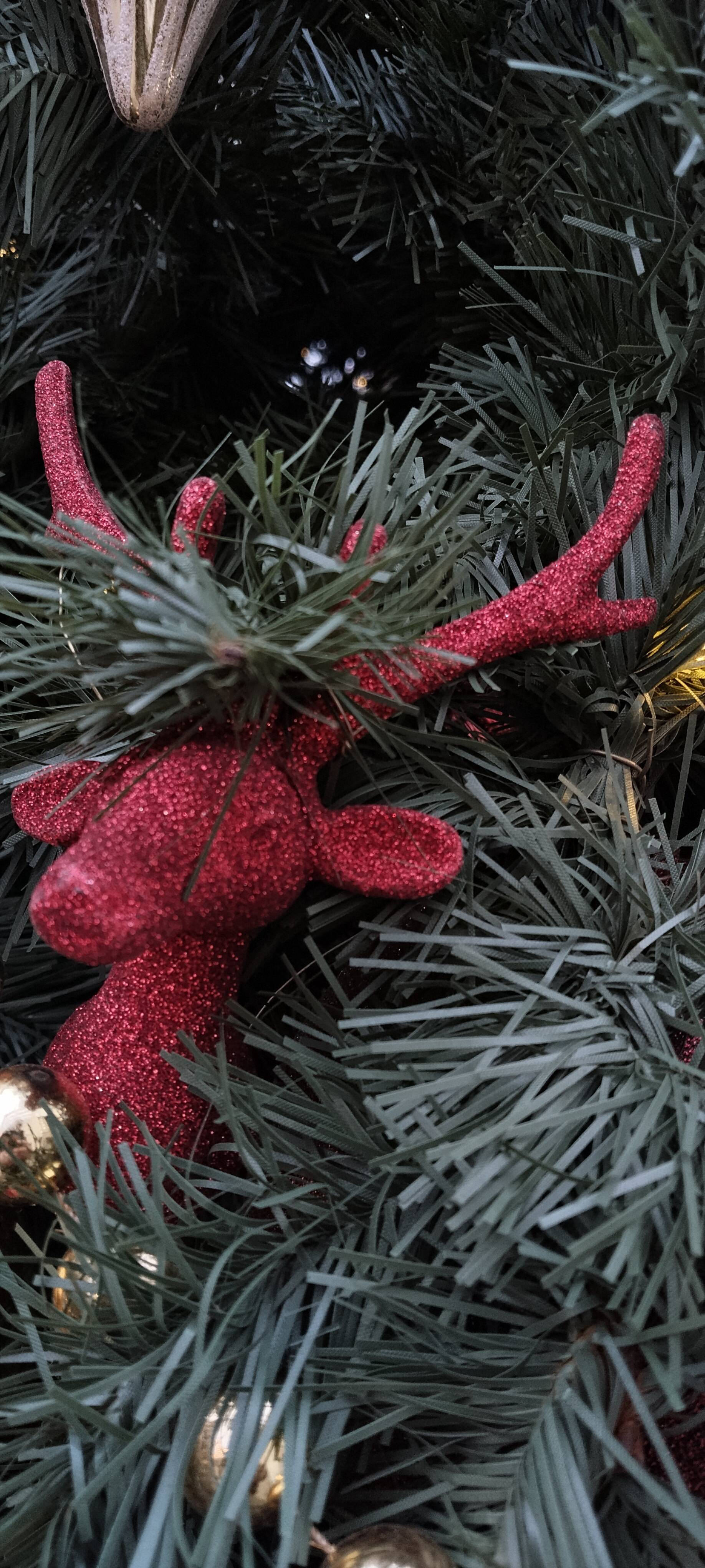 Photo #13085072