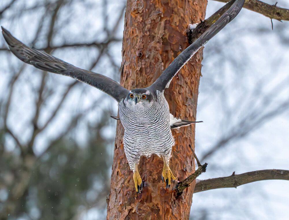 Photograph by Makarov Viktor