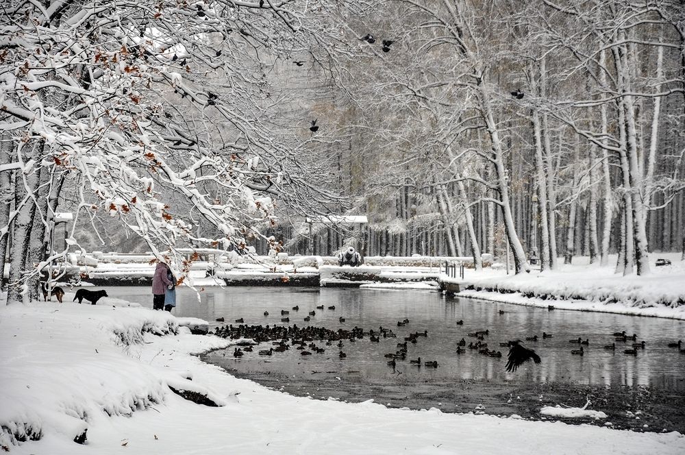 Фотография автора Ковяк Сергей Васильевич