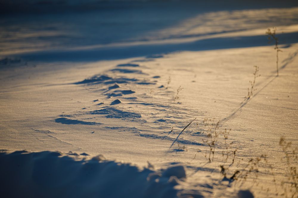 Photograph by Екатерина Козловская