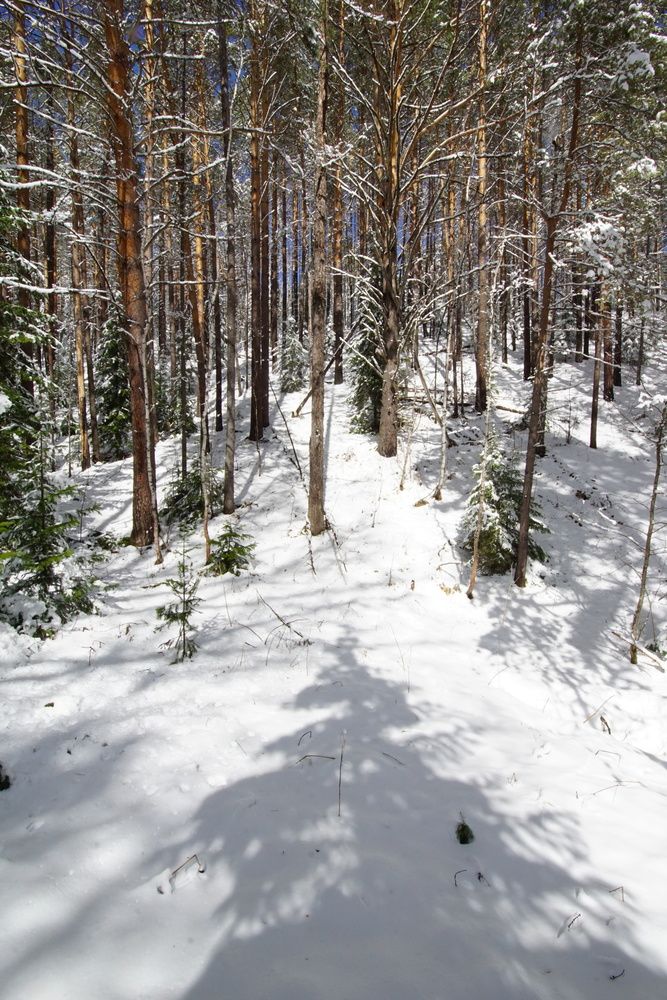 Photograph by Владимир Семиченко