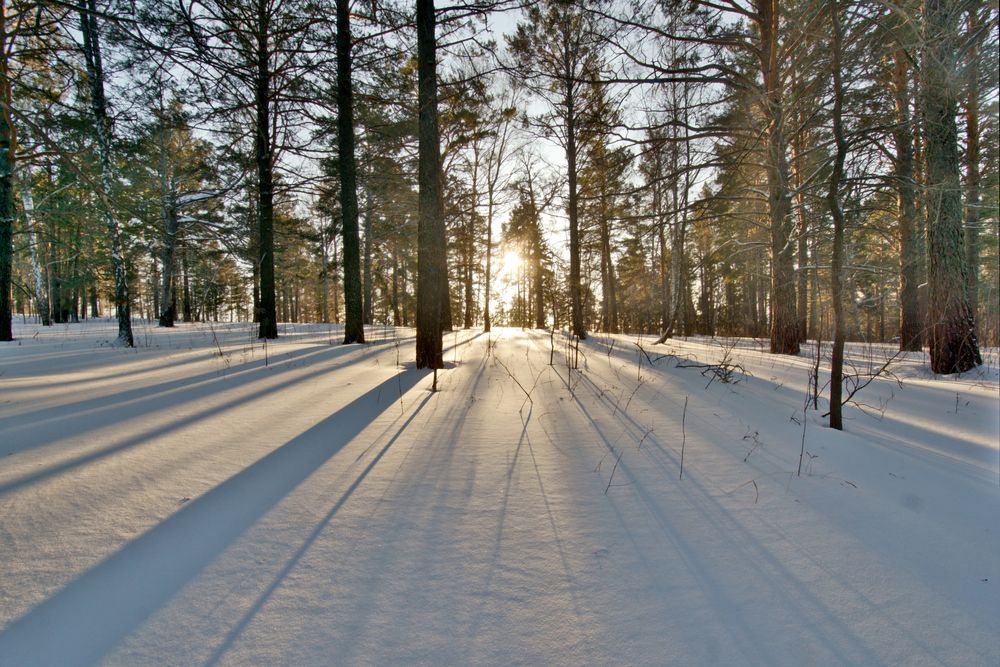 Photograph by Владимир Семиченко