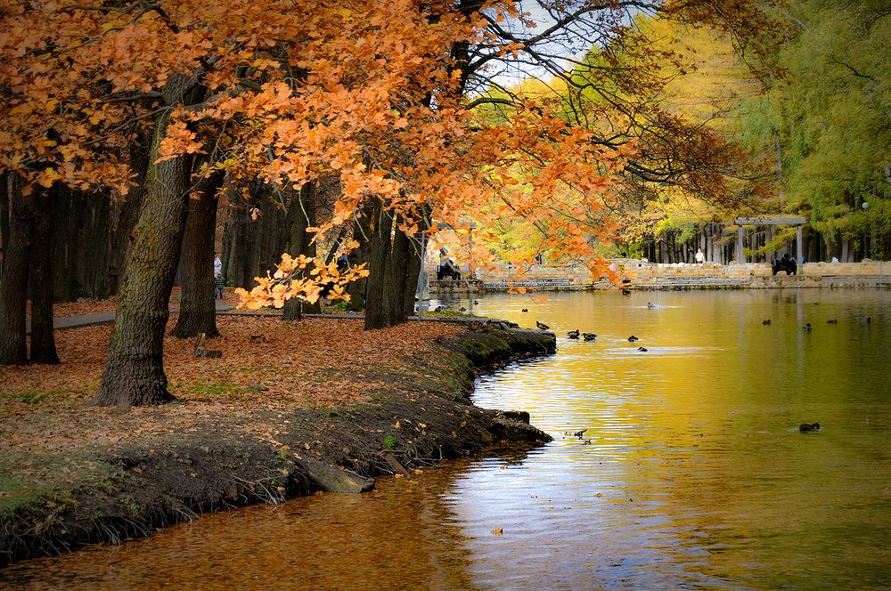 Фотография автора Ковяк Сергей Васильевич