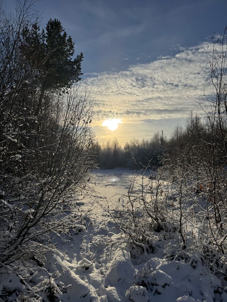 Photograph by Кристина Мишина