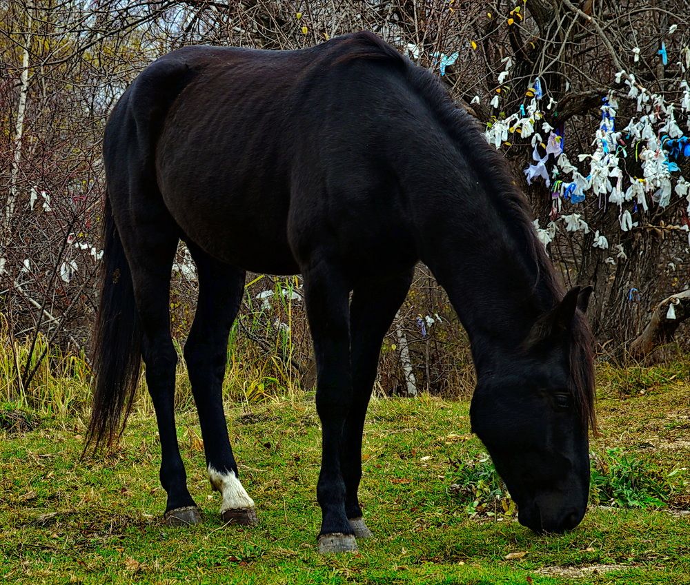 Photograph by Денис