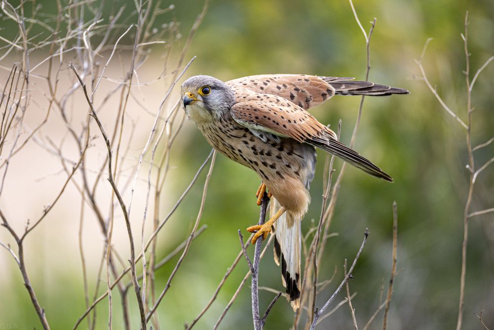 Photograph by Георгий