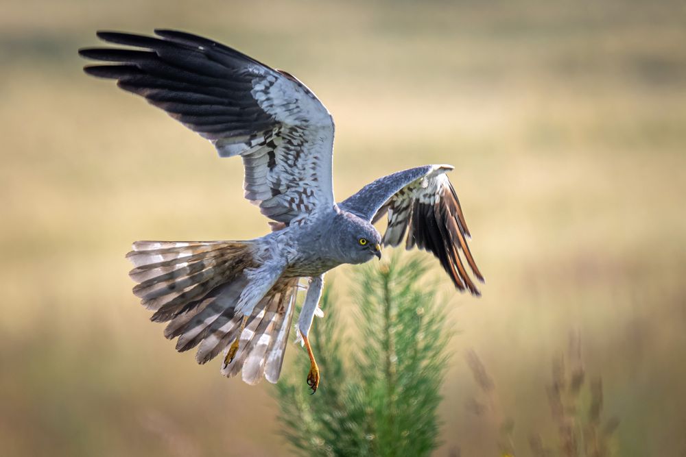 Photograph by Вячеслав Ладанов