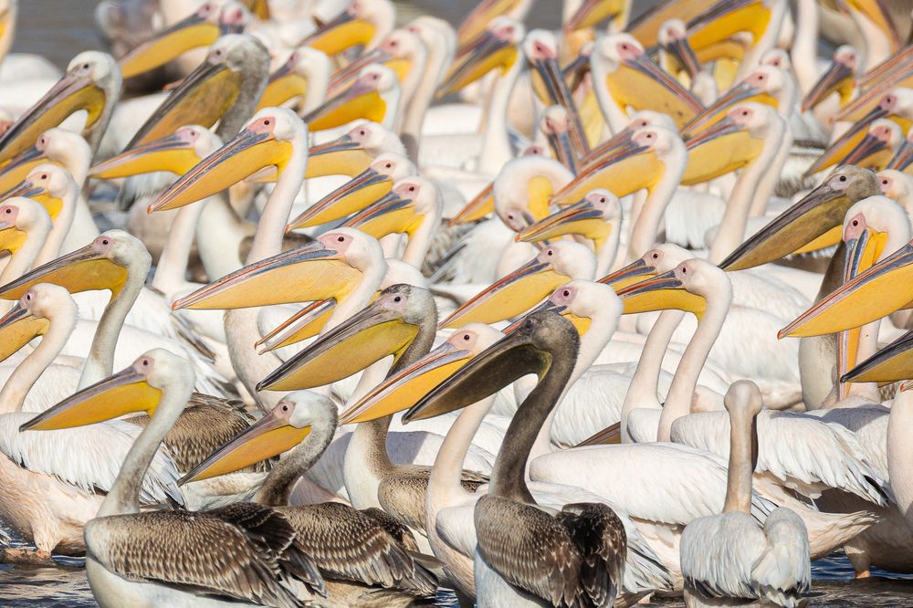 Photograph by Георгий