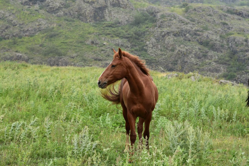 Photograph by Михаил Рогачев