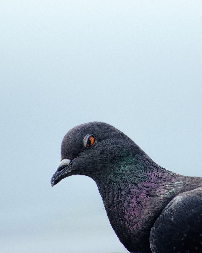 Photograph by Allan Carvalho