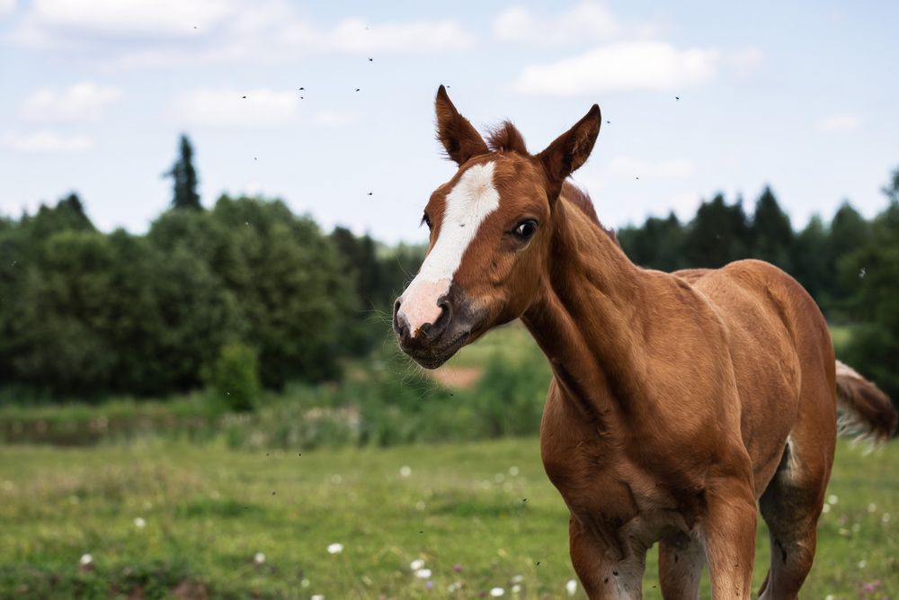 Photograph by Алексей Широбоков