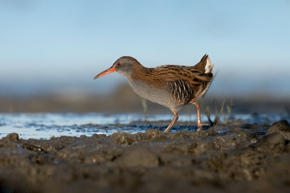 Photograph by Анатолий Садовский