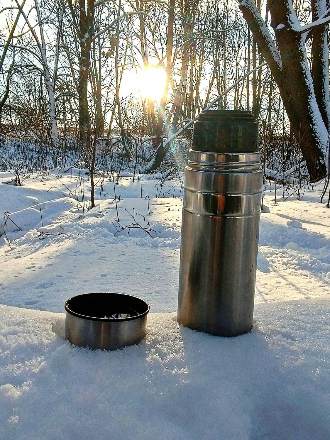 Лесные посиделки ☕❄