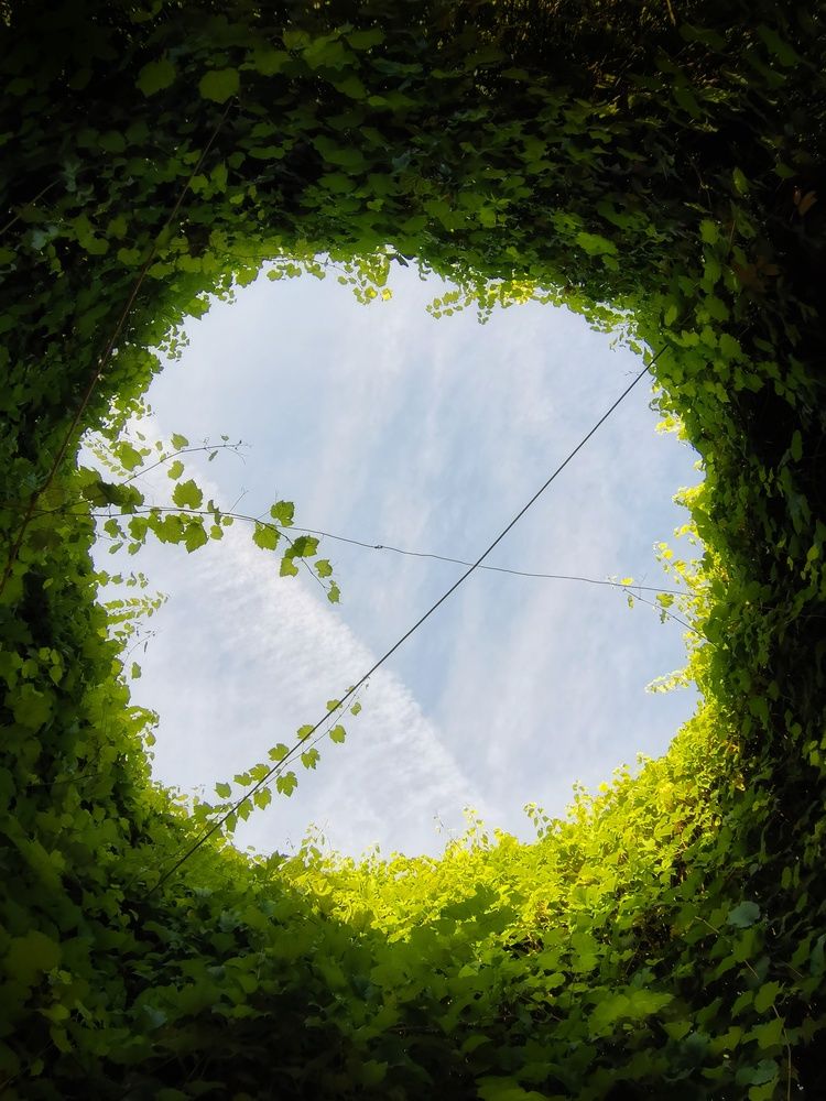 Photograph by Анна Кош
