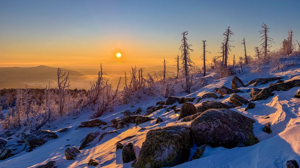 Фотография автора Duc de Salier