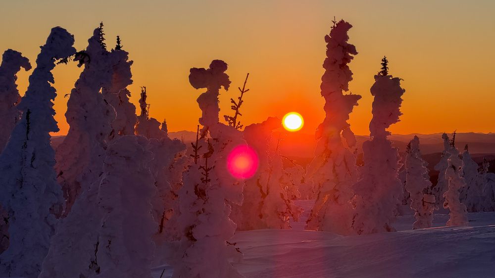 Фотография автора Duc de Salier