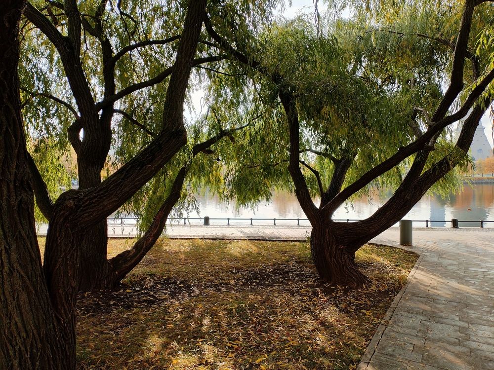 Фотография автора Елена Эйнова