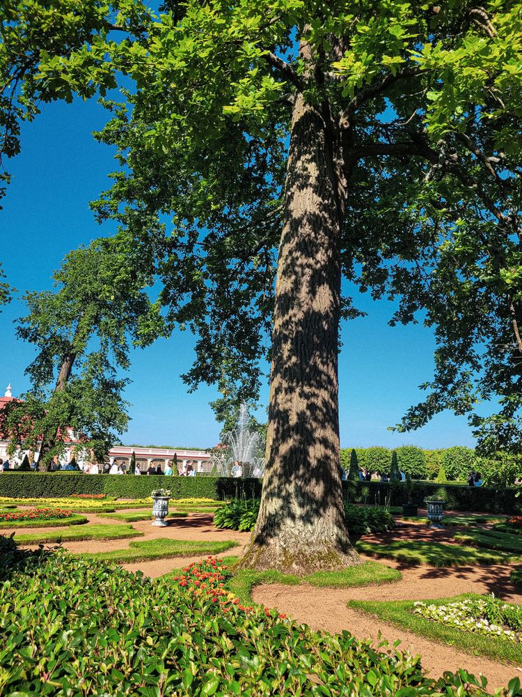 Фотография автора Людмила Казакова