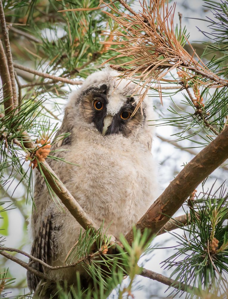 Photograph by Олег Чернышев