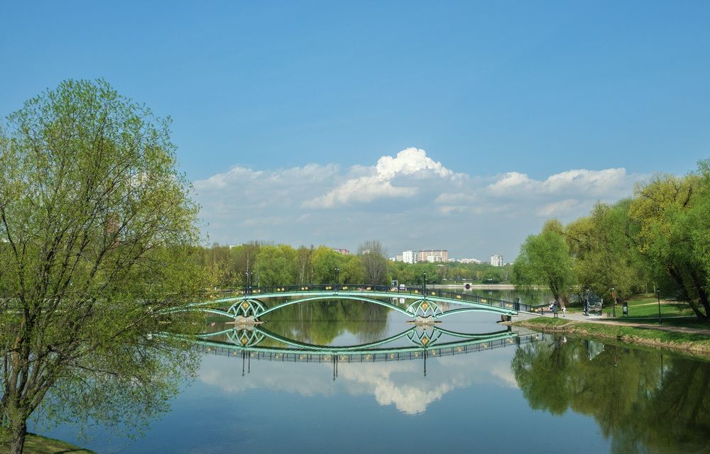 Фотография автора Наталья Липовская