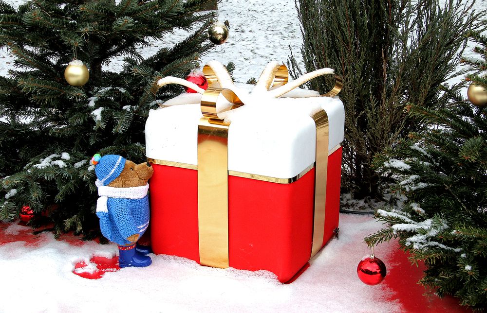 Фотография автора Елена Лаврова