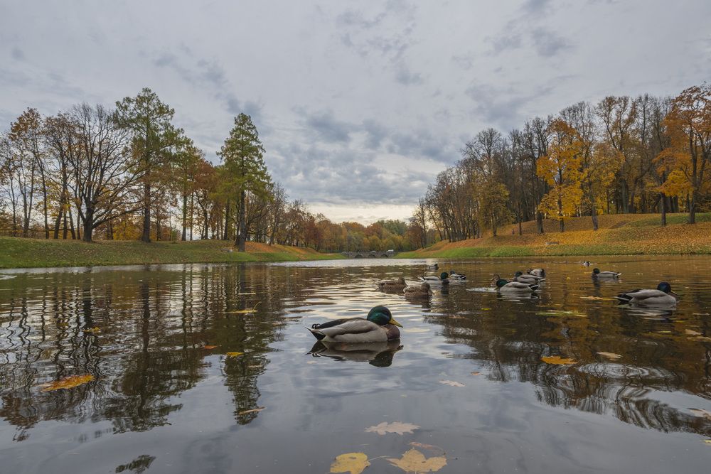 Фотография автора Андрей Игнатов